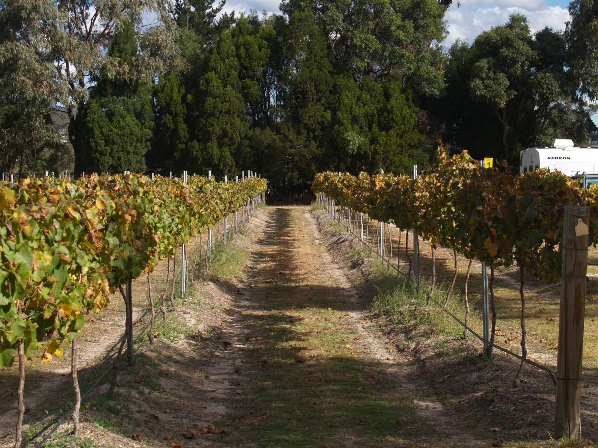 Boulevard Motel Stanthorpe Luaran gambar